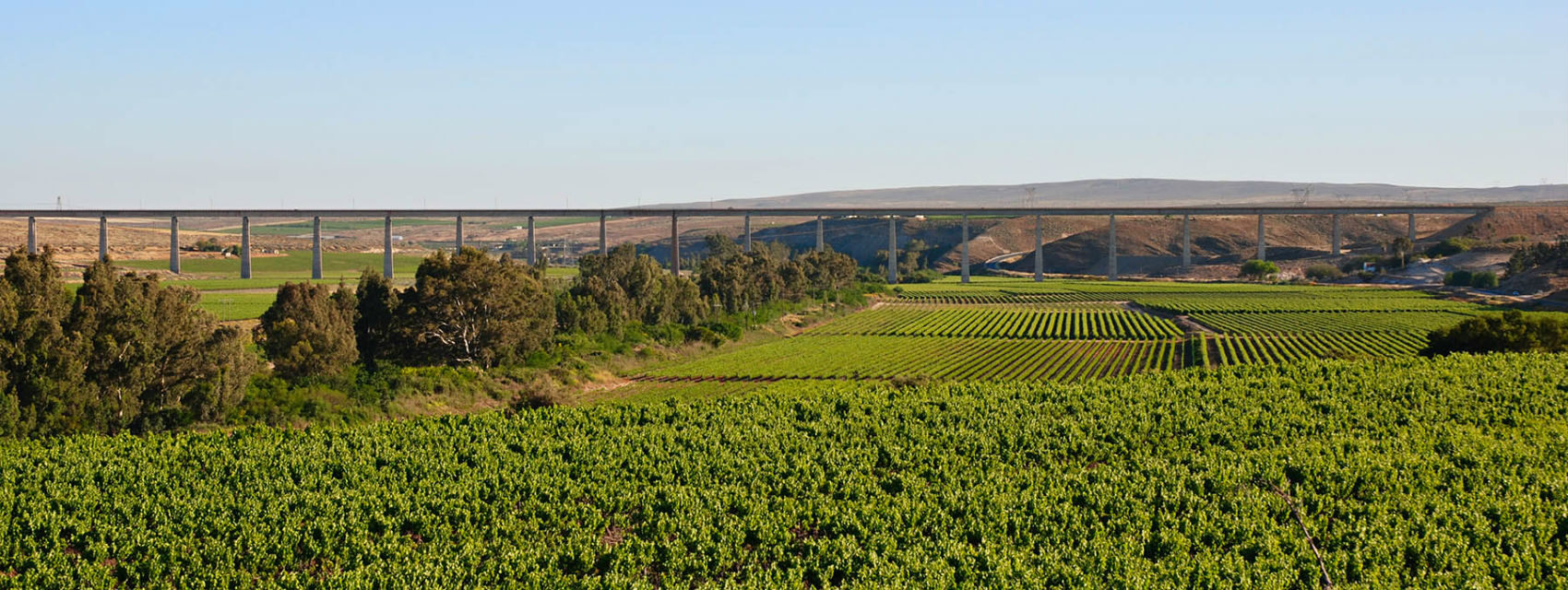 Melkboomsdrift Guest House In Vredendal