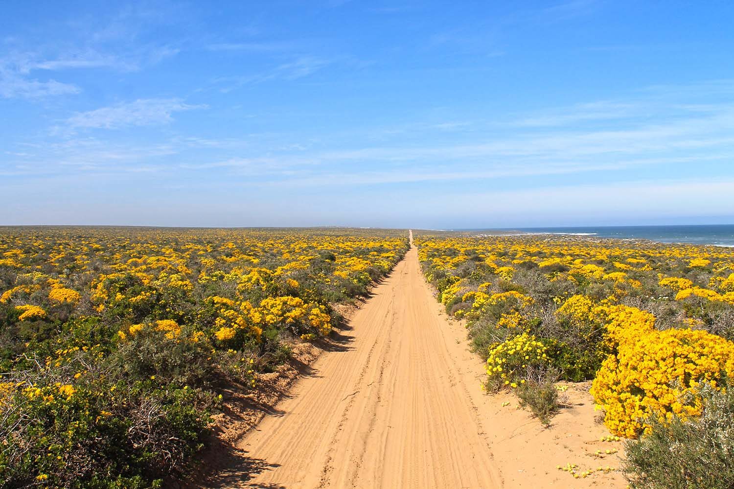 Namaqua National Park on the Cape West Coast
