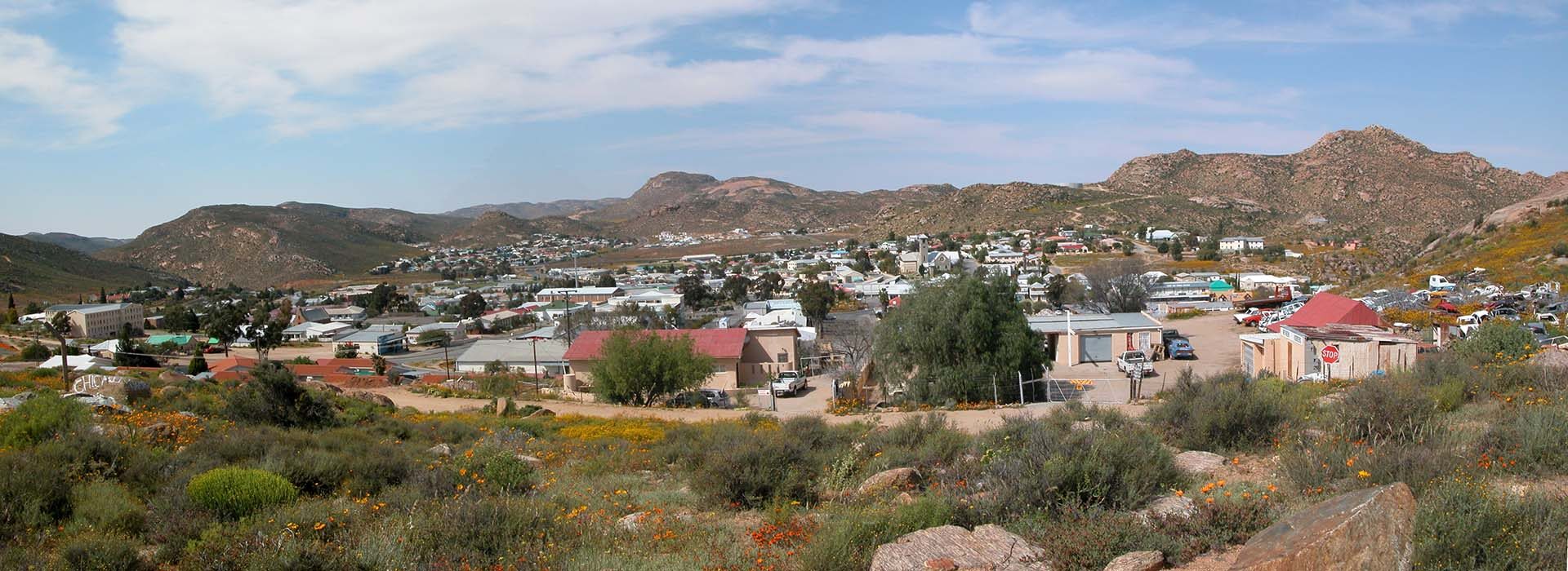 Springbok in the Northern Cape